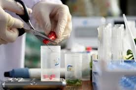 什么是第三方食品檢測機構？有什么作用